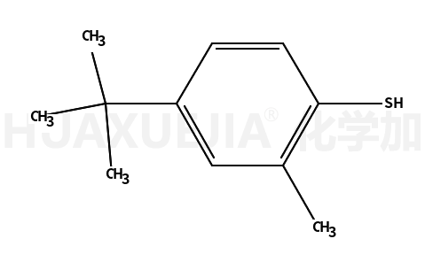 4-叔丁基-2-甲基噻酚