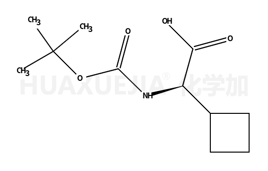 Boc-L-环丁基甘氨酸