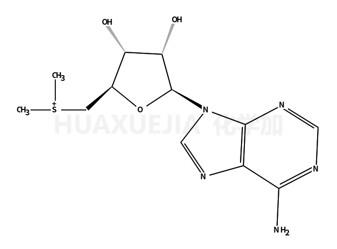 丁二磺酸腺苷蛋氨酸杂质14