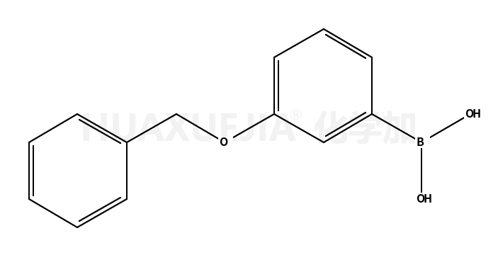 3-苄氧基苯硼酸