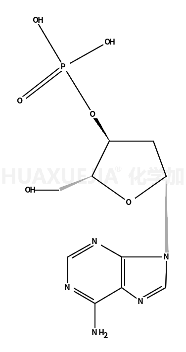 2' -脱氧3' -磷酸游离酸