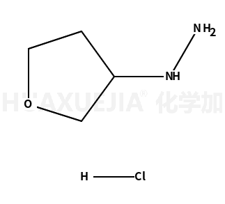(四氢-3-呋喃基)肼盐酸盐