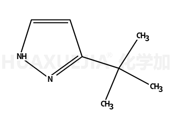 3-叔丁基-1H-吡唑