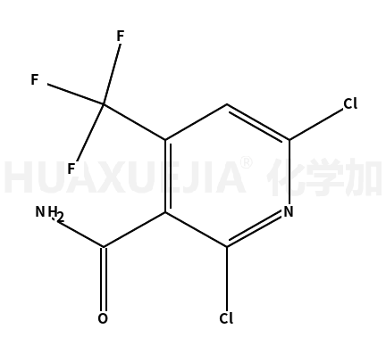 2,6-二氯-4-三氟甲基吡啶-3-羧胺