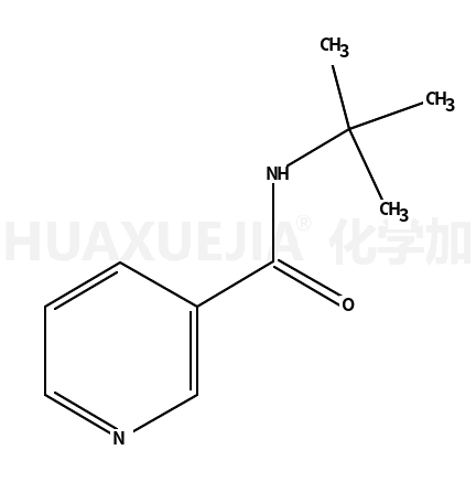 N-叔丁基烟酰胺