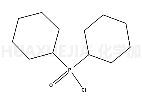 双环己基磷酰氯
