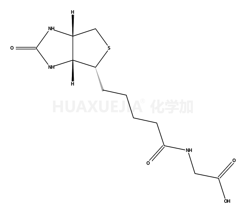 生物素甘氨酸