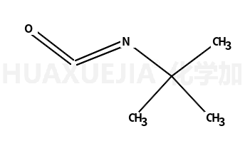 叔丁基异氰酸酯