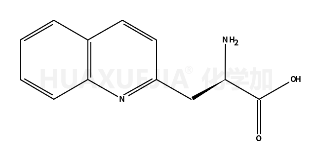 (S)-2-氨基-3-喹啉-2-丙酸