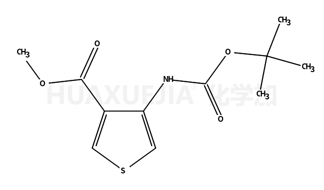 4-TERT-叔丁氧羰氨基噻吩-3-羧酸甲酯