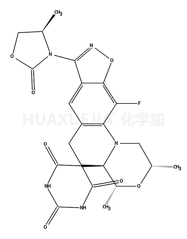 Zoliflodacin