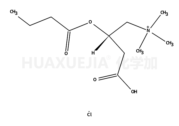 R-丁酰基肉碱
