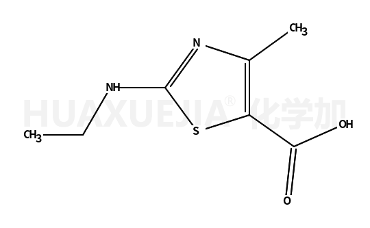 2-乙氨基-4-甲基噻唑-5-羧酸