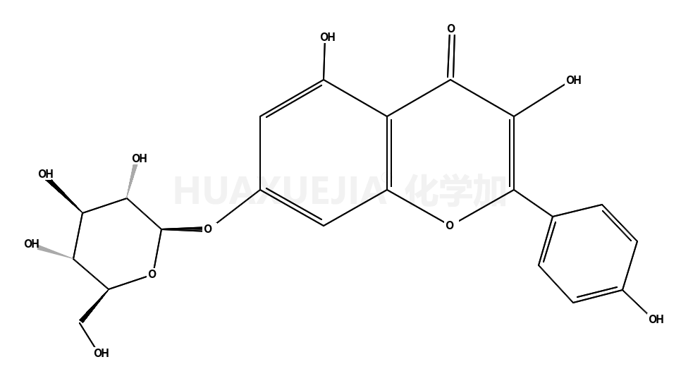 山奈酚-7-葡萄糖苷