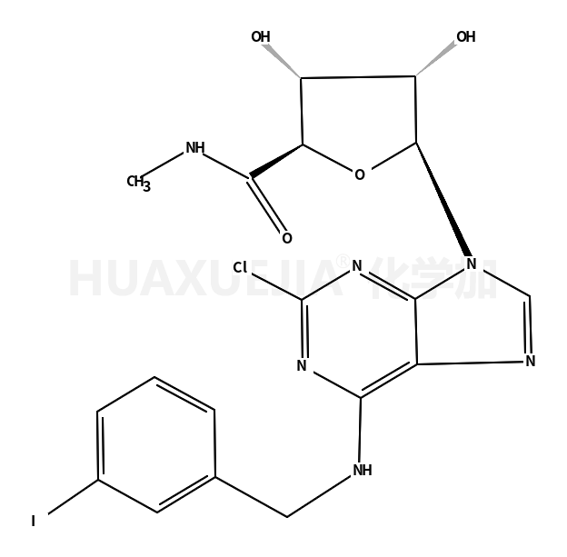 1-[2-氯-6-[[(3-碘苯基)甲基]氨基]-9h-嘌呤-9-基]-1-脱氧-N-甲基-beta-d-呋喃核糖酰胺