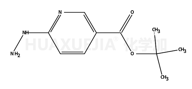 tert-butyl 6-hydrazinylpyridine-3-carboxylate