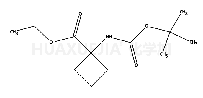 1-(叔丁氧基羰基氨基)环丁烷羧酸乙酯