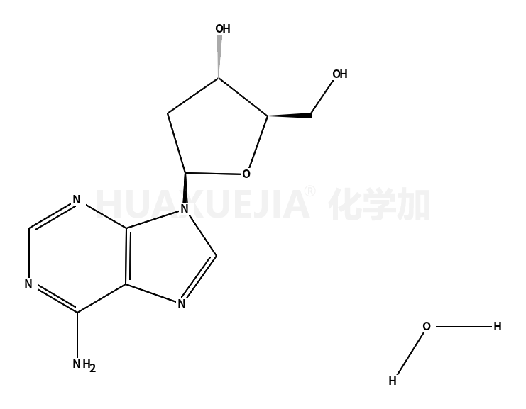 2'-脱氧腺苷一水合物