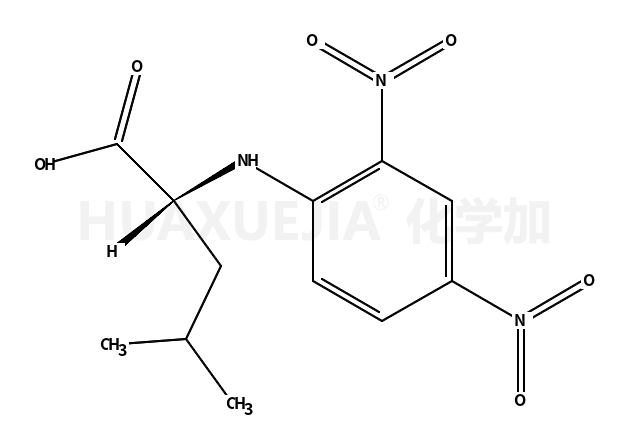 N-2,4-二硝基苯-L-亮氨酸