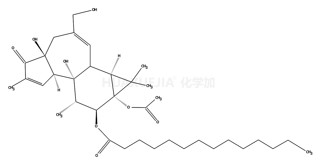 佛波醇12-十四酸酯13-乙酸酯