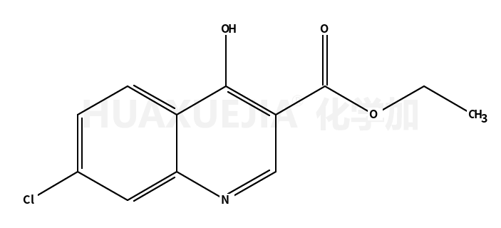 7-氯-4-羟基-3-喹啉羧酸乙酯