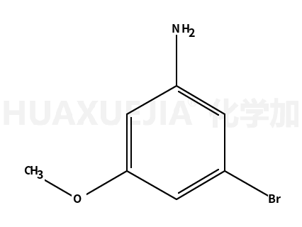 3-溴-5-甲基氧基苯胺