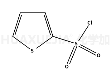 2-噻吩磺酰氯