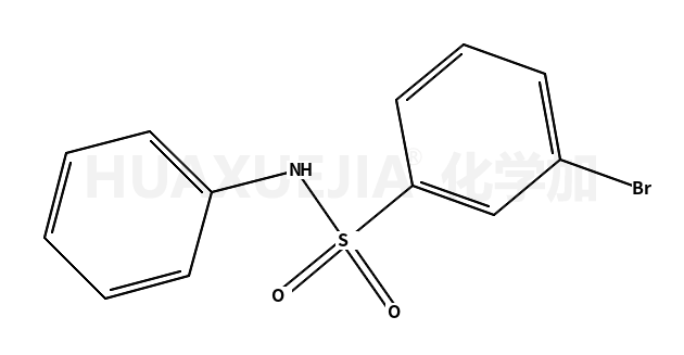 N-苯基-3-溴苯磺酰胺