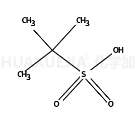 2-methylpropane-2-sulfonic acid