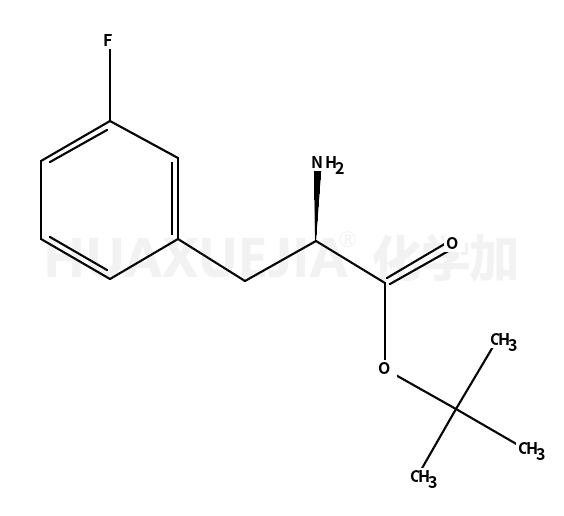 (S)-3-氟苯氨叔丁酯