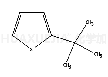 2-叔丁基噻吩