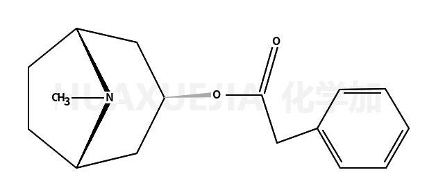 (8-methyl-8-azabicyclo[3.2.1]octan-3-yl) 2-phenylacetate