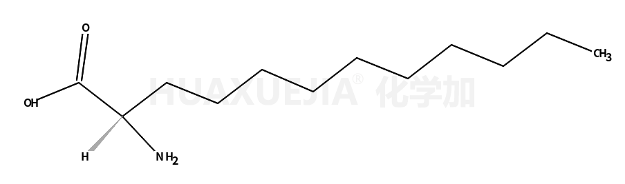 (S)-2-氨基十二酸