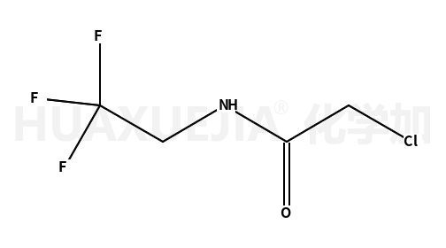 2-氯-N-(2,2,2-三氟乙基)乙酰胺