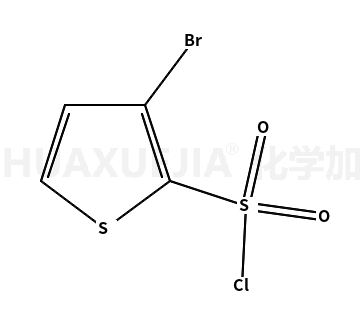 3-溴噻吩-2-磺酰氯