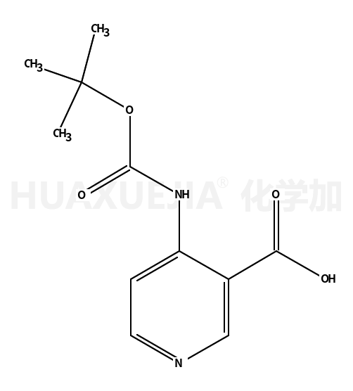 4-[(叔丁氧羰基)氨基]烟酸