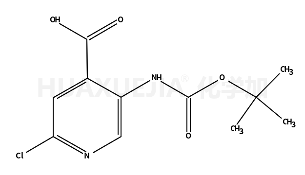 5-Boc-氨基-2-氯吡啶-4-羧酸