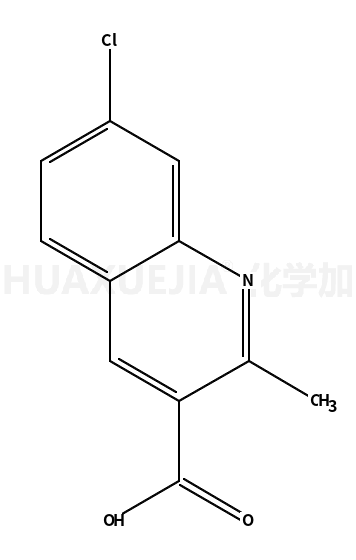 7-氯-2-甲基-喹啉-3-羧酸