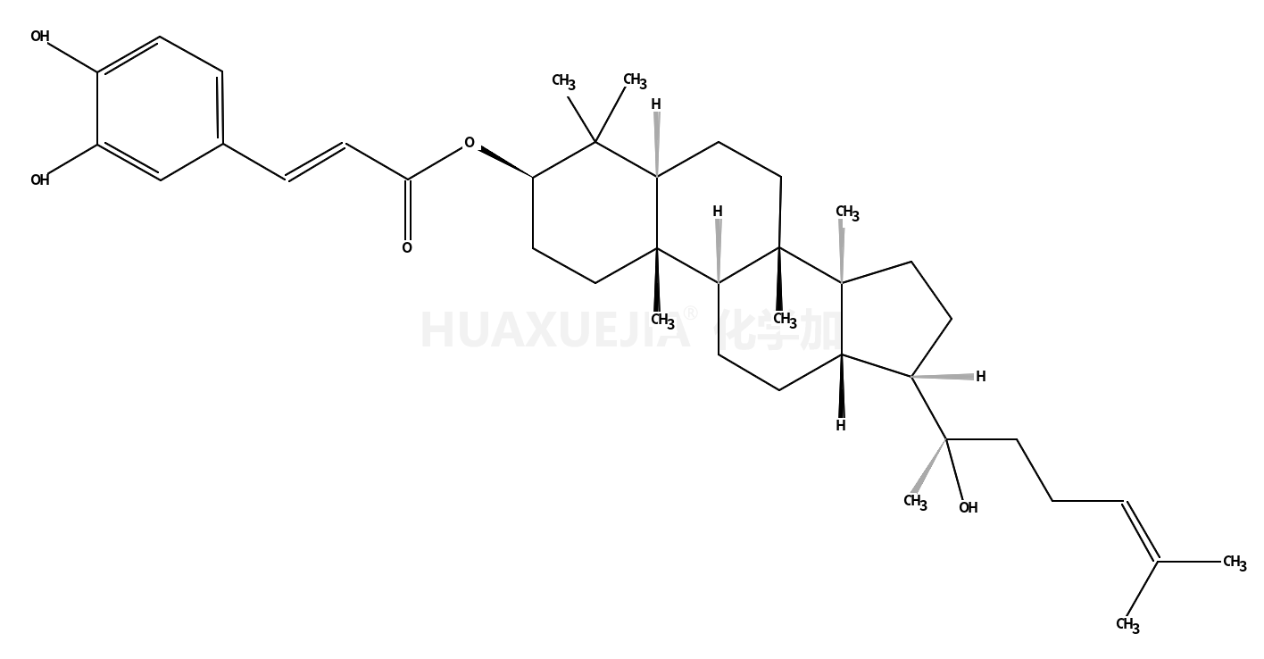 Dammarenediol II 3-O-caffeate