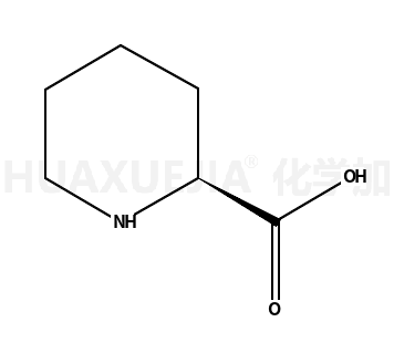 D-哌啶-2-甲酸