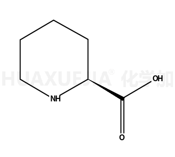 D-(+)-2-哌啶酸