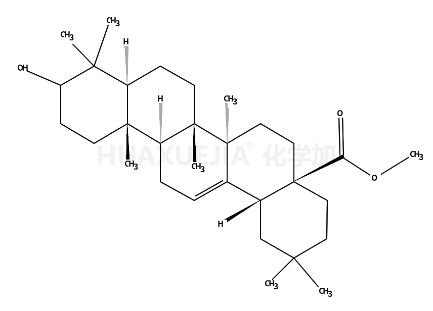 齐墩果酸甲酯
