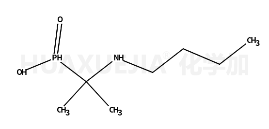 2-(butylamino)propan-2-yl-hydroxy-oxophosphanium