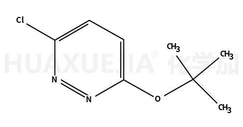 3-叔丁氧基-6-氯哒嗪