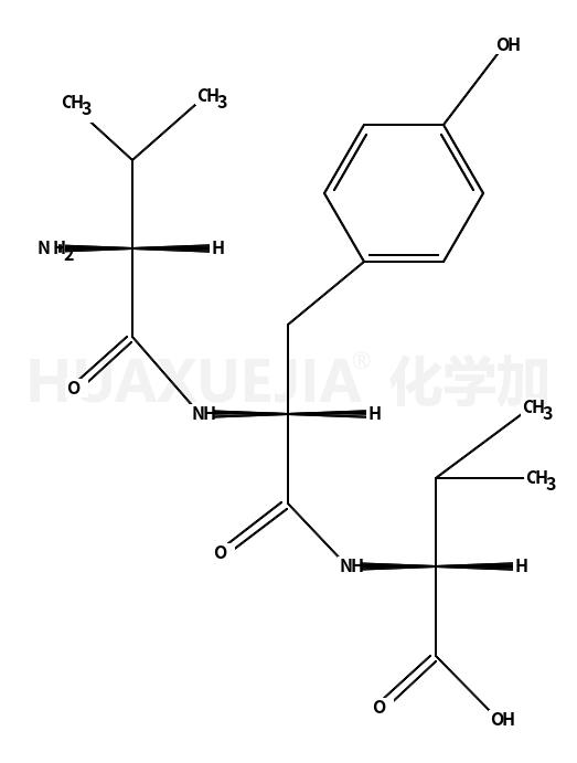 缬氨酸-酪氨酸-缬氨酸