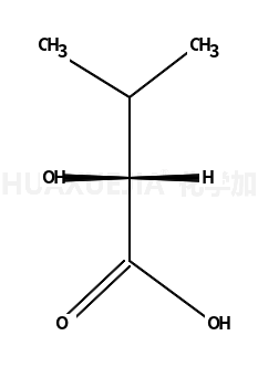 L-α-羟基异戊酸