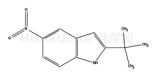 2-叔丁基-5-硝基吲哚