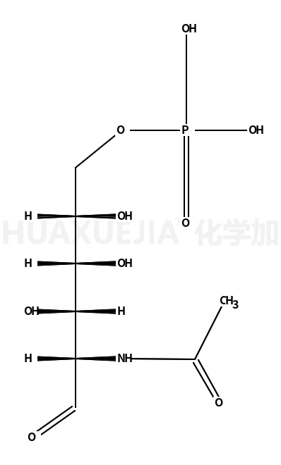 N-乙酰葡糖胺-6-磷酸