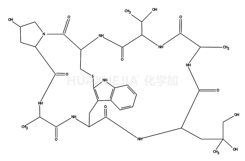 Phalloidin from Amanita phalloides