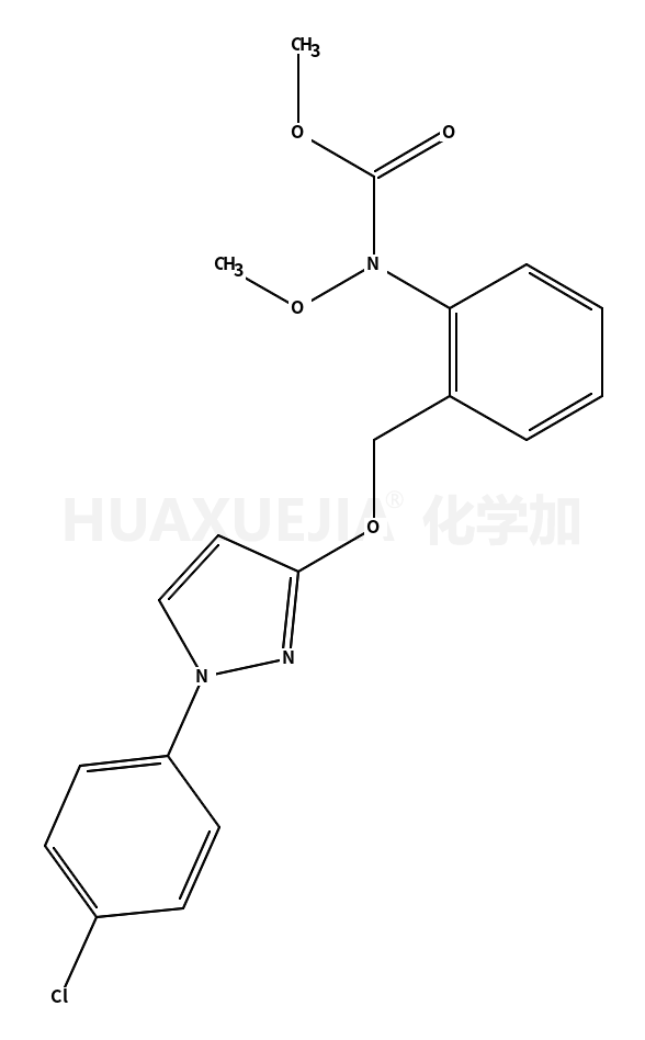 百克敏